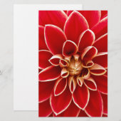 Papeterie Red Dahlia (Devant / Derrière)