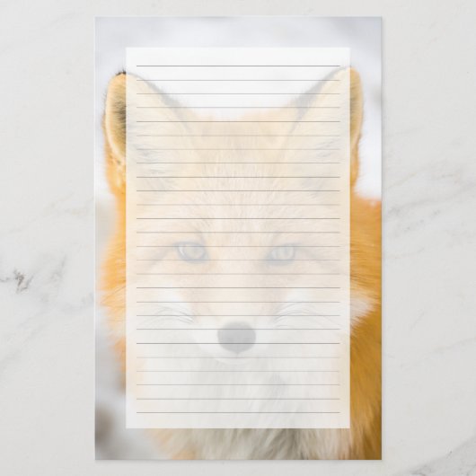 Papeterie Red Fox Portrait (Devant)