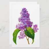 Papeterie Redoute Lilacs (Devant / Derrière)