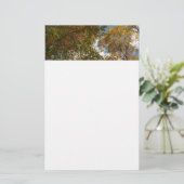 Papeterie Regard sur les feuilles d'automne II Automne Natur (Debout devant)