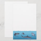Papeterie Requins (Devant / Derrière)