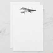 Papeterie Rétro vieil avion d'appui vertical d'avion vintage (Devant / Derrière)