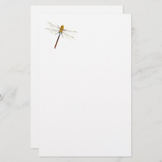 Papeterie Rêves de libellule (Devant / Derrière)