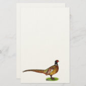 Papeterie Ringneck Pheasant Rooster (Devant / Derrière)