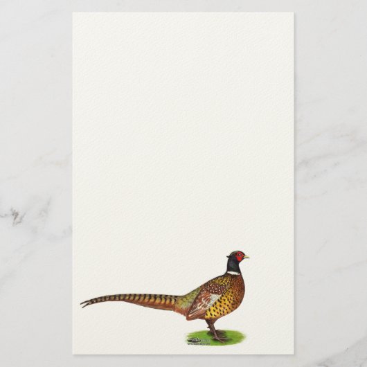 Papeterie Ringneck Pheasant Rooster (Devant)