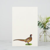 Papeterie Ringneck Pheasant Rooster (Debout devant)