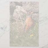 Papeterie Robin américain (Devant)