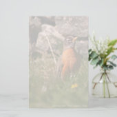 Papeterie Robin américain (Debout devant)