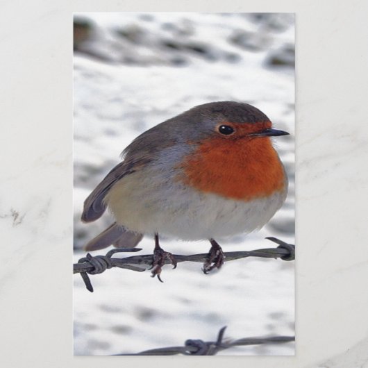 Papeterie Robin Redmamin (Devant)