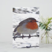 Papeterie Robin Redmamin (Debout devant)