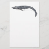 Papeterie Rorcual commun (Devant)