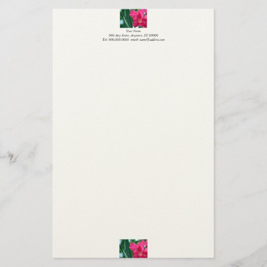 Papeterie rose (Devant)