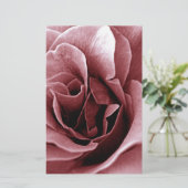 Papeterie Rose (Debout devant)