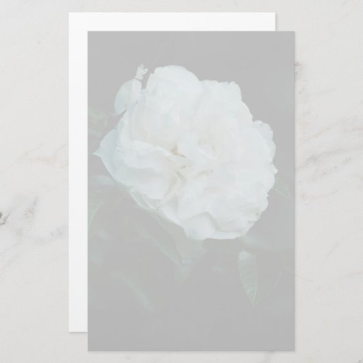 Papeterie Rose blanche (Devant / Derrière)