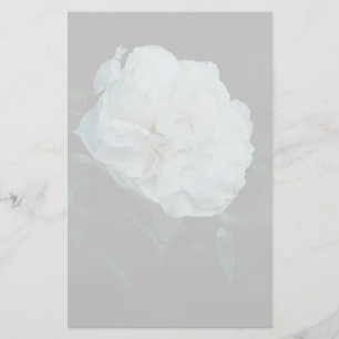 Papeterie Rose blanche