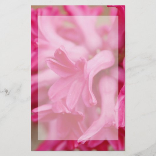Papeterie rose de jacinthe (Devant)