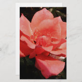 Papeterie rose de pêche et détritus (Devant / Derrière)