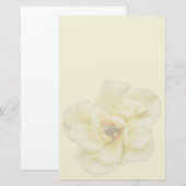 Papeterie Rose et abeille (Devant / Derrière)