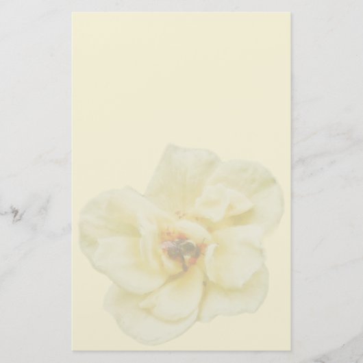 Papeterie Rose et abeille (Devant)