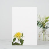 Papeterie Rose jaune (Debout devant)