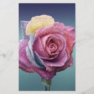 Papeterie Rose multicolore