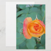 Papeterie rose orange (Devant / Derrière)
