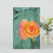Papeterie rose orange (Debout devant)