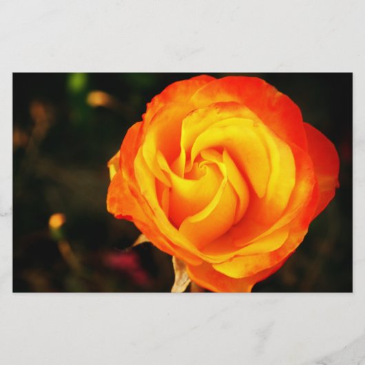Papeterie Rose orange (Devant)