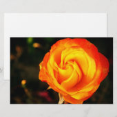 Papeterie Rose orange (Devant / Derrière)