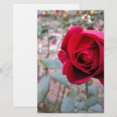 Papeterie rose rouge d'automne (Devant / Derrière)