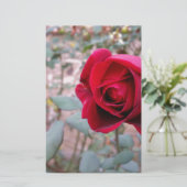 Papeterie rose rouge d'automne (Debout devant)