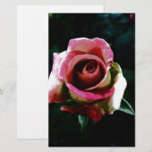 Papeterie Rose rouge peinte à l'huile (Devant / Derrière)