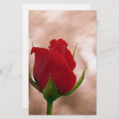 Papeterie Rose rouge simple (Devant / Derrière)