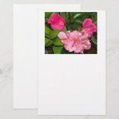 Papeterie Roses et Orchidées (Devant / Derrière)