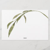 Papeterie Roses Roses Roses Roses Roses Vive Nuit Idée Jeu d (Dos)