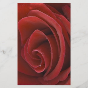 Papeterie Roses rouges stationnaires