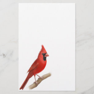 Papeterie rouge cardinale de mâle d'oiseau
