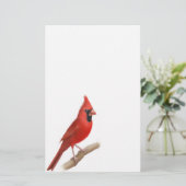 Papeterie rouge cardinale de mâle d'oiseau (Debout devant)