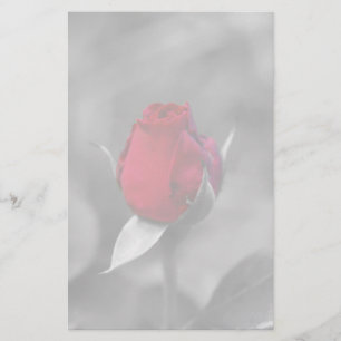 Papeterie rouge de Rosebud