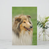Papeterie Rough Collie (Debout devant)