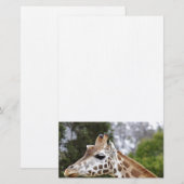 Papeterie Safari Afrique Mod Chic Classy Destiny Giraffe (Devant / Derrière)