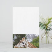 Papeterie Safari Afrique Mod Chic Classy Destiny Giraffe (Debout devant)