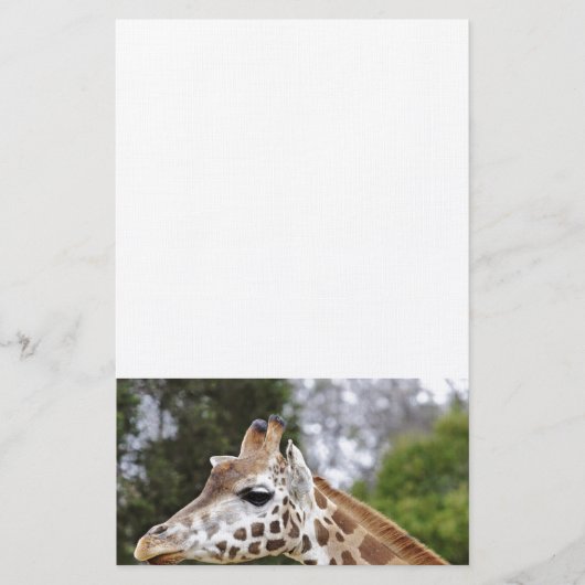 Papeterie Safari Afrique Mod Chic Classy Destiny Giraffe (Devant)