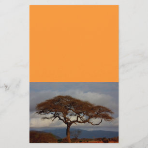 Papeterie Safari romantique Afrique Fête des mariées Paix pe