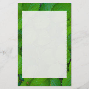 Papeterie Saint Basil Tulsi Green Mint Feuilles