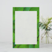 Papeterie Saint Basil Tulsi Green Mint Feuilles (Debout devant)