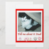 Papeterie Saint Valentin Chat noir et blanc (Devant / Derrière)