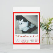 Papeterie Saint Valentin Chat noir et blanc (Debout devant)