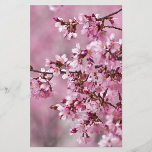 Papeterie Sakura Cherry Blossoms Pastel Pink Layers (Devant)