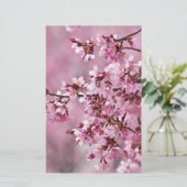 Papeterie Sakura Cherry Blossoms Pastel Pink Layers (Debout devant)